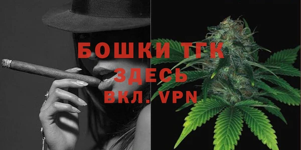 сатива Нязепетровск