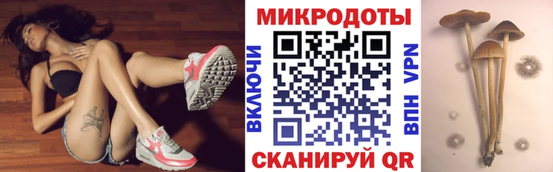 Купить где  Мценск  Галлюциногенные грибы Psilocybine cubensis 